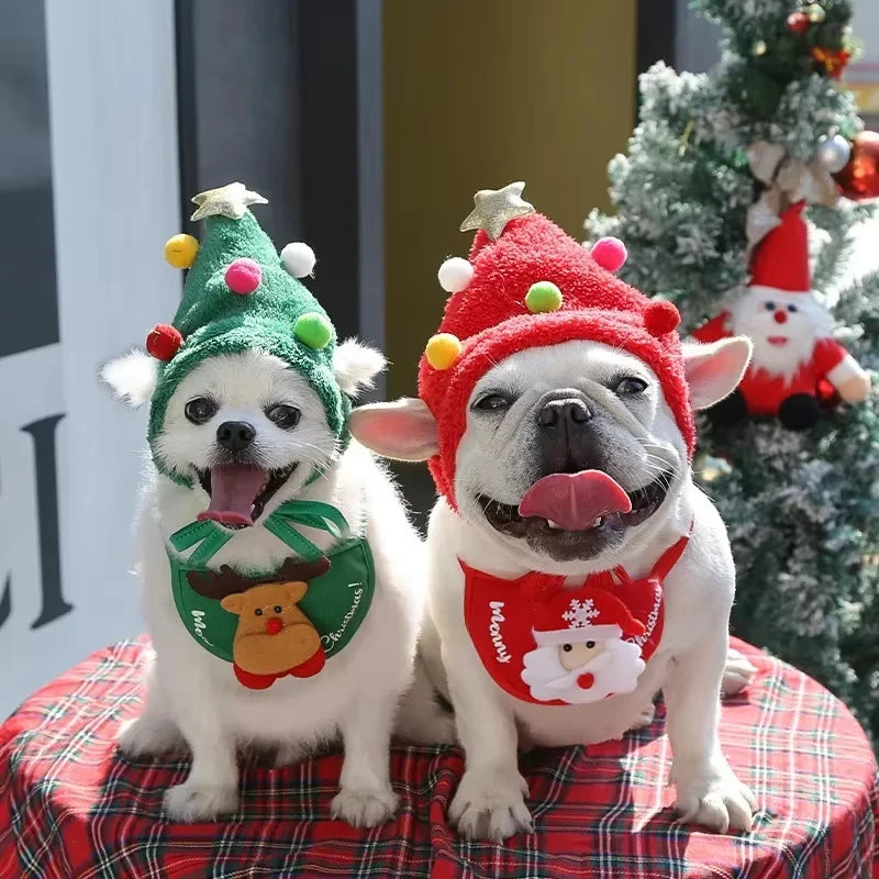 Kit Navideño para Mascotas