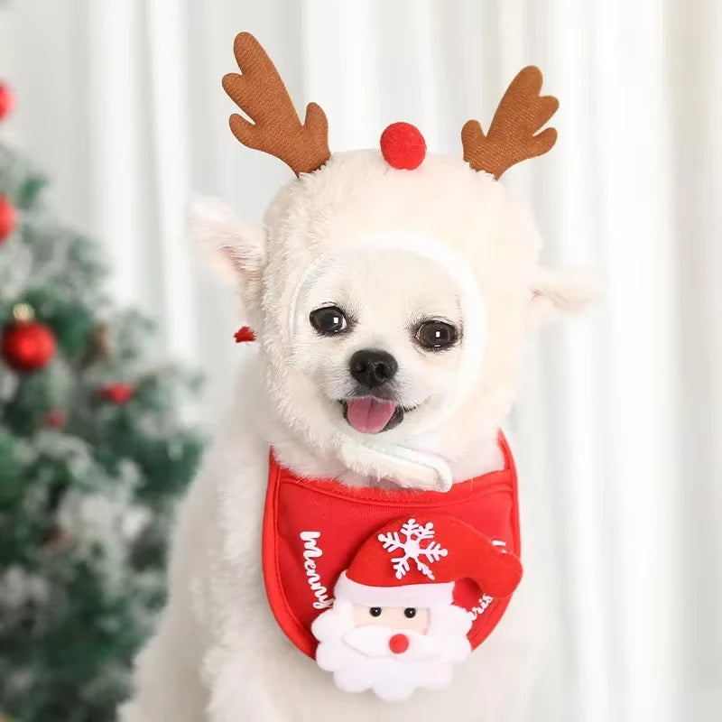 Kit Navideño para Mascotas