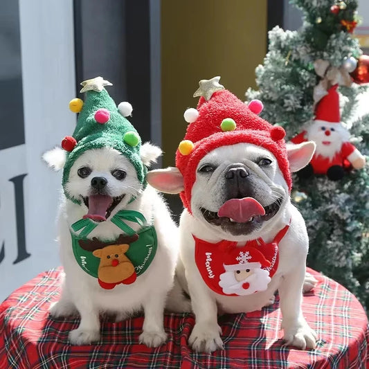 Kit Navideño para Mascotas