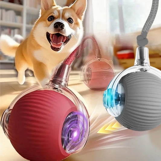 Bola Mágica Pet Luvix